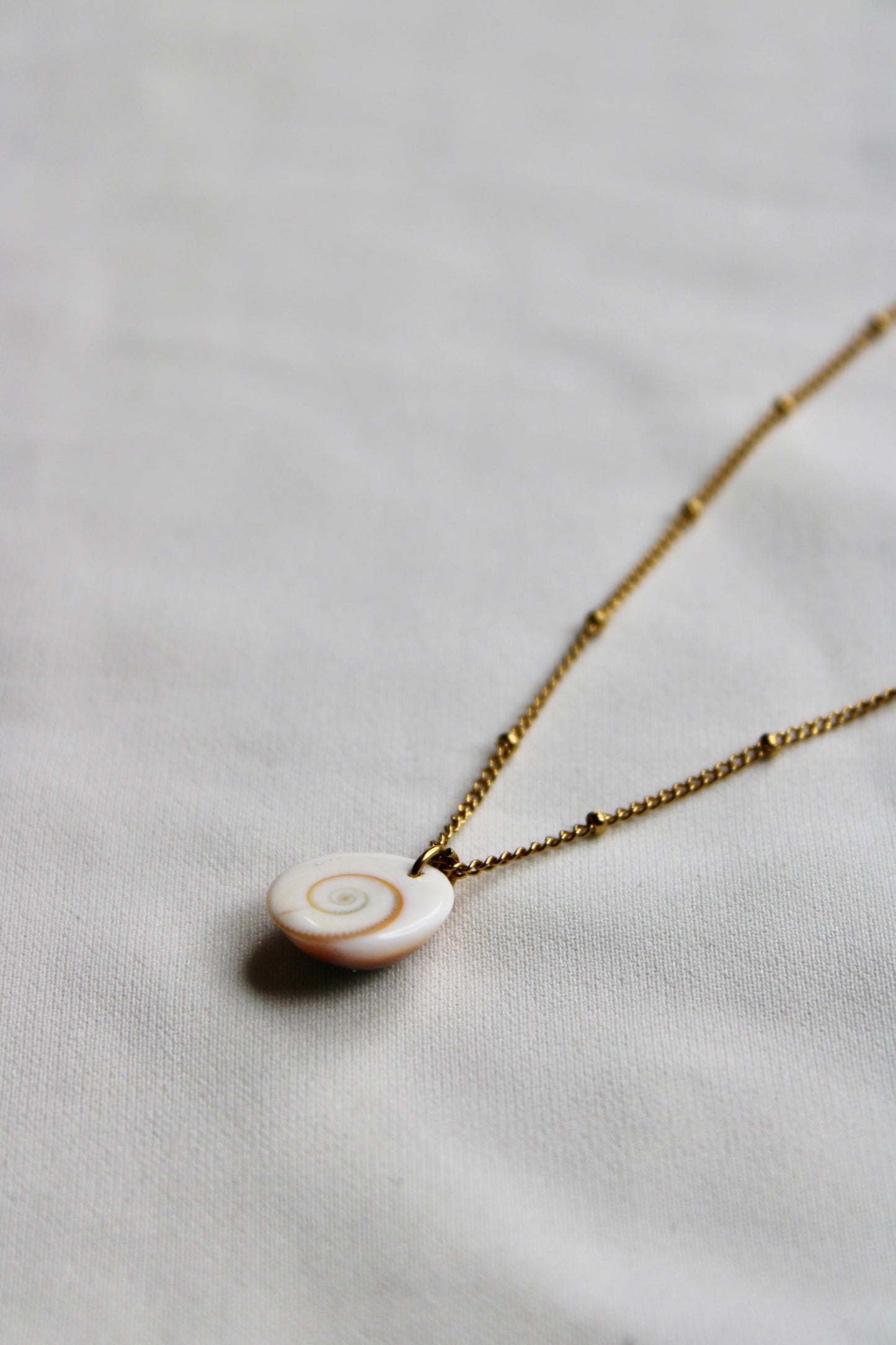Collier COQUILLAGE Les Bijoux De Claclou